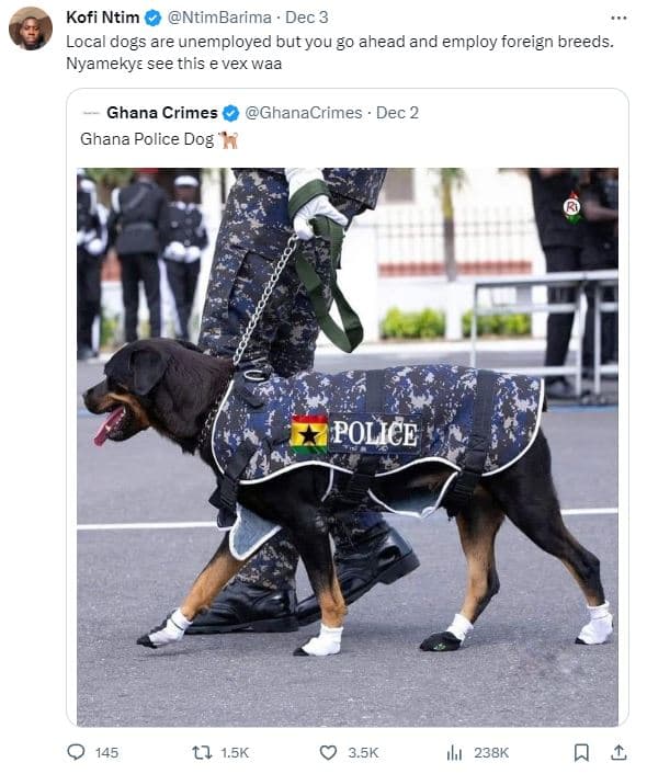 Kofi ntim ntimbarima dec 3 local dogs are unemployed but you g0 ahead and employ