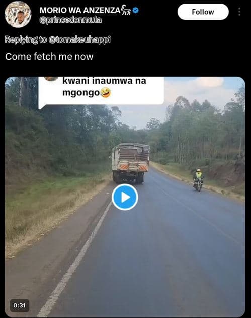 Morio wa anzenzas princedonmula follow repyfing omakeuhappi come fetch me now kw