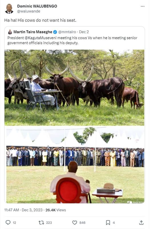 Dominic walubengo waluwande ha ha! his cows do not want his seat. martin tairo m