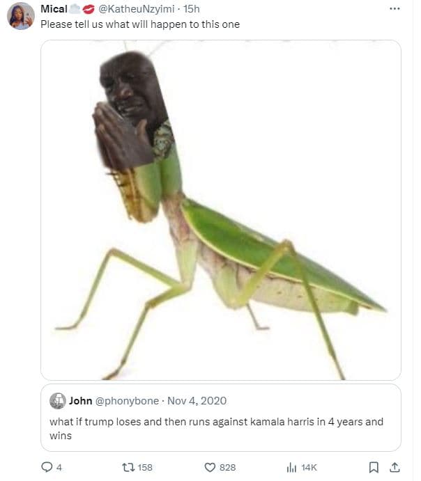 Mical katheunzyimi 15h please tell us what will happen to this one john phonybon