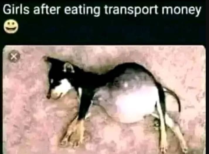 Girls after eating transport money