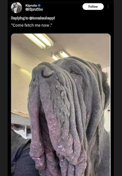 Kipruto oouaod folloy rephtngoo tomekadhappi come fetch me now