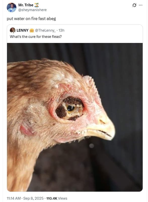 Mr tribe sheymanishere put water on fire fast abeg lenny thelenny_ 13h what's th