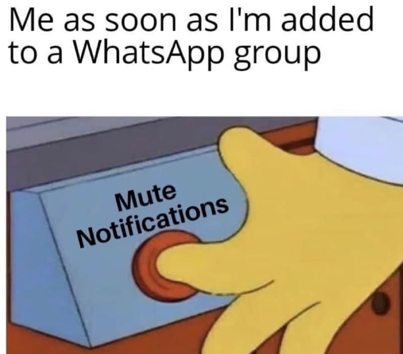 Me as soon as i'm added to a whatsapp group mute notifications
