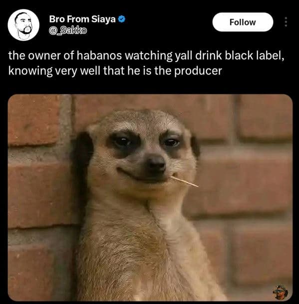 Bro from siaya sakko follow the owner of habanos watching yall drink black label
