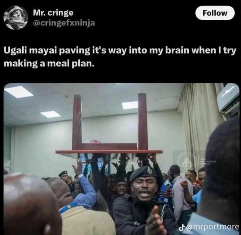 Mr. cringe cringefxninja follow ugali mayai paving it's way into my brain when t