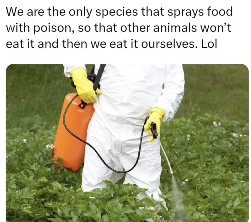 We are the only species that sprays food with poison, s0 that other animals won'