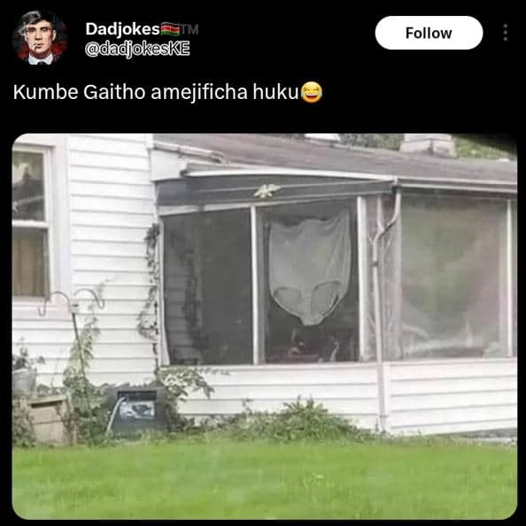 Dadjokes tm dadjokeske follow kumbe gaitho amejificha huku