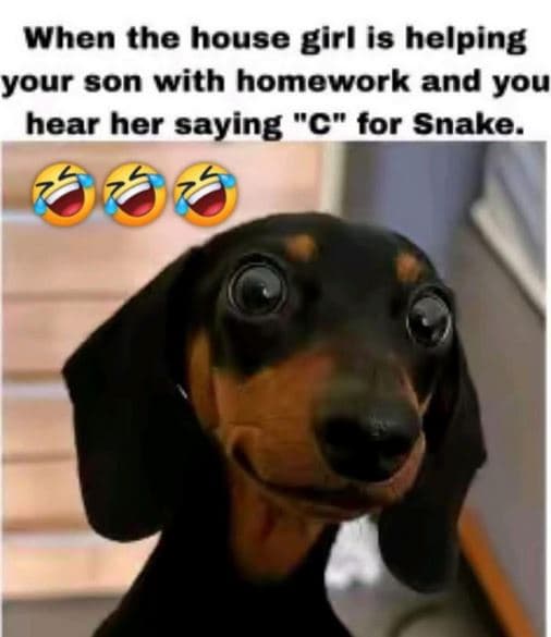 When the house birl is helping your son with homework and you hear her saying c