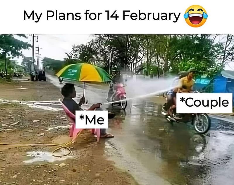 My plans for 14 february couple me