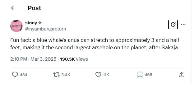 Post sincy nyamburasreturn fun fact a blue whale's anus can stretch to approxima