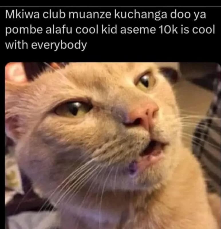 Mkiwa club muanze kuchanga doo ya pombe alafu cool kid aseme 1ok is cool with ev