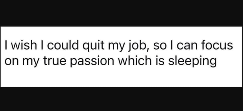 Wish could quit my job so can focus on my true passion which is sleeping
