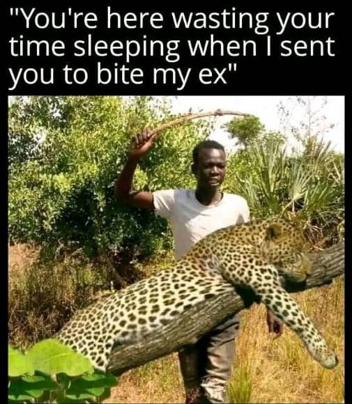 You're here wasting your time sleeping when sent you to bite my ex