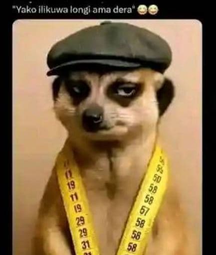 Yako ilikuwa longi ama dera 19 2 8 58 5