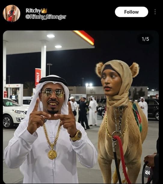 Ritchy rfuchy_gibonger follow 15