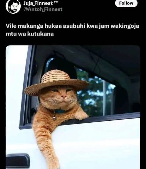 Juja_finnest tm antoh_finnest follow vile makanga hukaa asubuhi kwa jam wakingoj