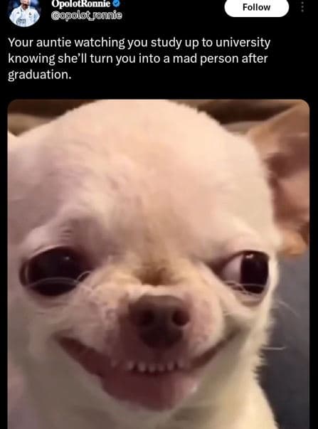 Opolotronnie polotfonnia follow your auntie watching you study up to university