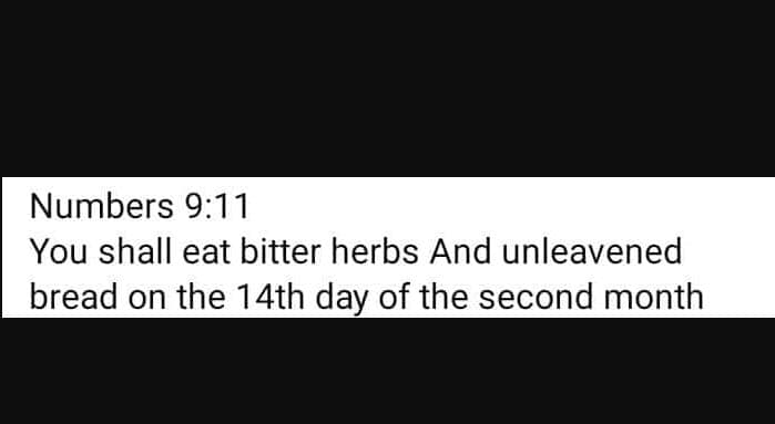 Numbers 911 you shall eat bitter herbs and unleavened bread on the 14th day of t