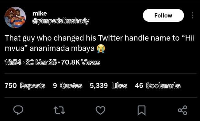 Mike pimpedslimshady follow that guy who changed his twitter handle name to hii