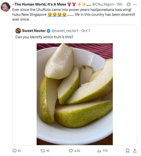 The human world, its a mess ciku_yegon 19h ever since the uhuruto came into powe