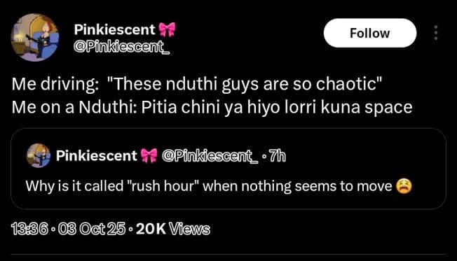 Pinkiescent pfnkiescent _ follow me driving these nduthi guys are so chaotic me