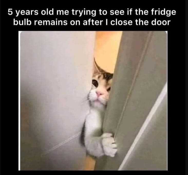 5 years old me trying to see if the fridge bulb remains on after close the door