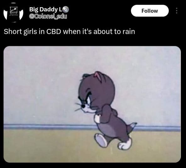 Big daddy l9 coloneledu follow short girls in cbd when it's about to rain