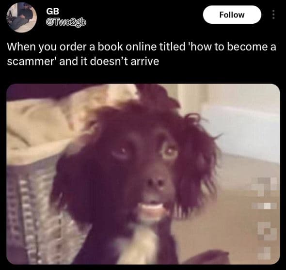 Gb fuwo?gl follow when you order a book online titled 'how to become a scammer'