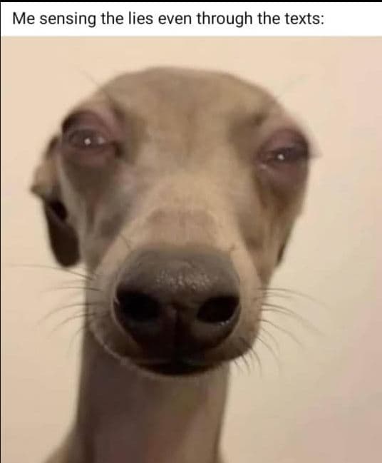 Me sensing the lies even through the texts