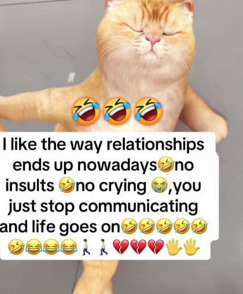 Like the way relationships ends up nowadays no insults no crying you just stop c