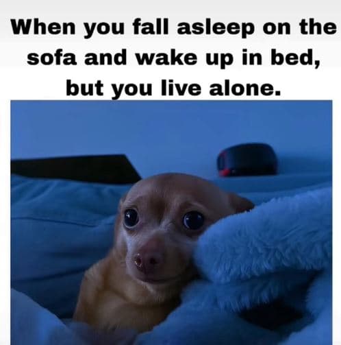 When you fall asleep on the sofa and wake up in bed, but you live alone.