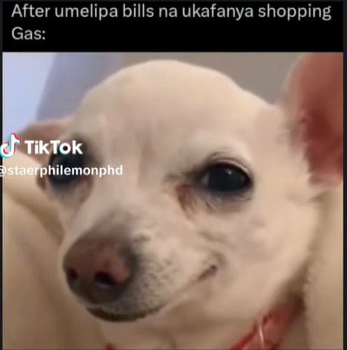 After umelipa bills na ukafanya shopping gas tik tok staerphilemonphd