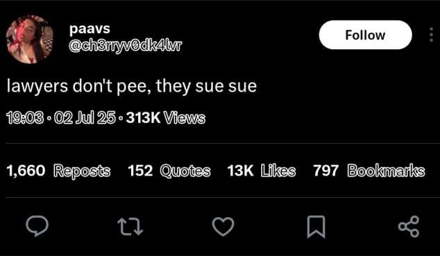 Paavs ch3rnymdkalr follow lawyers don't pee, they sue sue .02jul 25 . 313k views