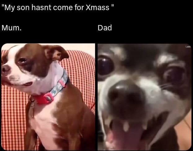 'my son hasnt come for xmass mum dad