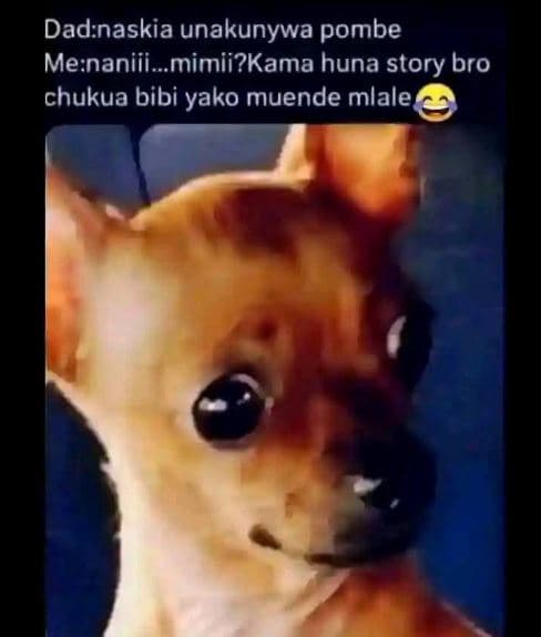 Dadnaskia unakunywa pombe menaniii_ mimii?kama huna story bro chukua bibi yako m