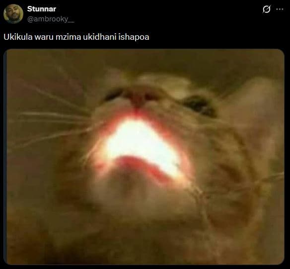 Stunnar ambrooky_ ukikula waru mzima ukidhani ishapoa