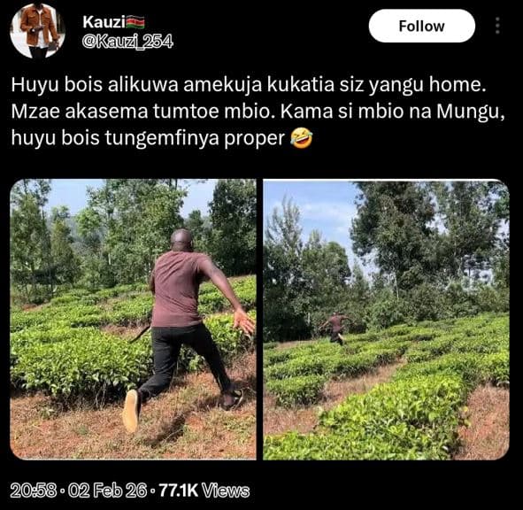 Kauzi kauzi 254 follow huyu bois alikuwa amekuja kukatia siz yangu home. mzae ak