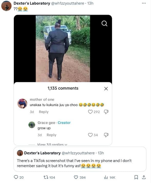 Dexter's laboratory whlzzyouttahere 13h ??tf 1,135 comments mother of one unakaa