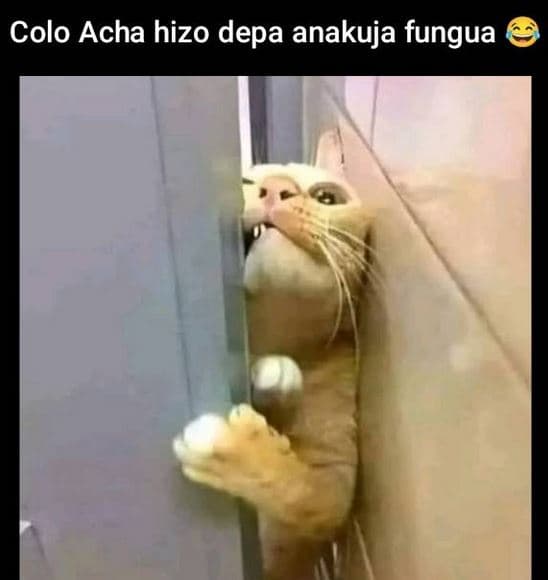 Colo acha hizo depa anakuja fungua