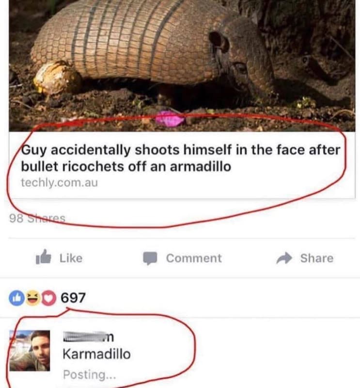 Guy accidentally shoots himself in the face after bullet ricochets off an armadi