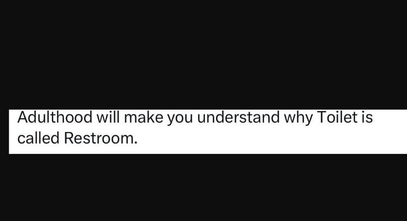 Adulthood will make you understand why toilet is called restroom