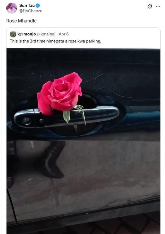 Sun tzu itschanzu rose mhandle kmonjo kmainaj . apr 6 this is the 3rd time nimep