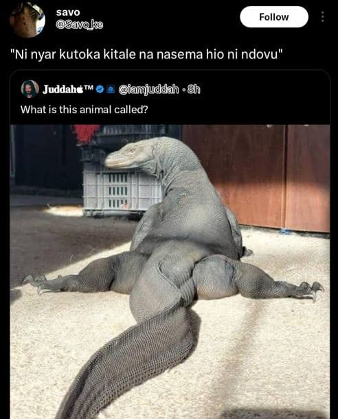 Savo savoka follow ni nyar kutoka kitale na nasema hio ni ndovu juddahe amjuddah