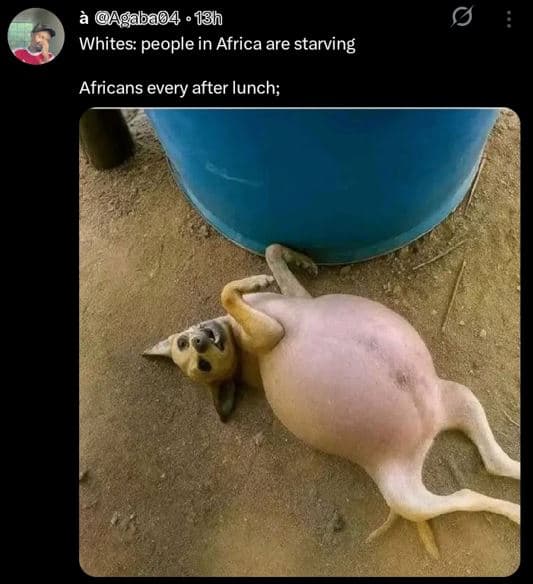 Agaba04 18h whites people in africa are starving africans every after lunch