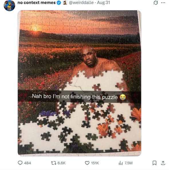 No context memes weirddalle aug 31 nah bro l'm not finishing this puzzle 484 lj
