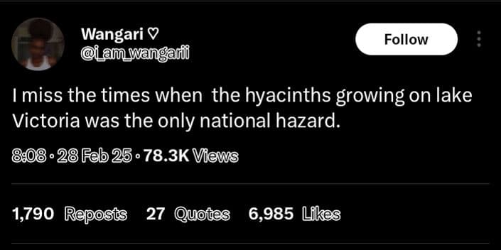 Wangari lwangami follow miss the times when the hyacinths growing on lake victor