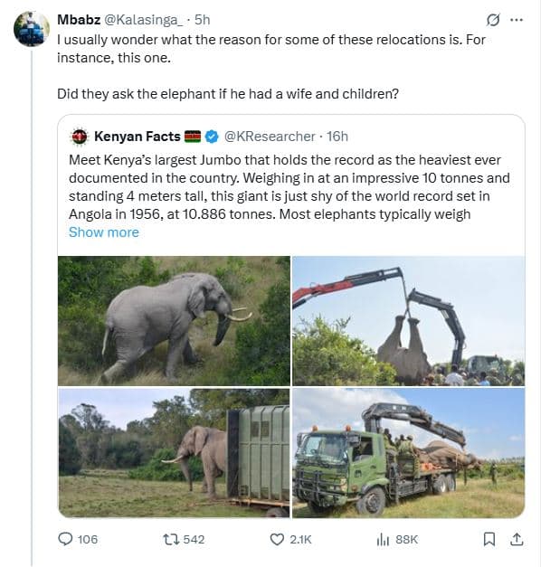 Mbabz kalasinga 5h usually wonder what the reason for some of these relocations