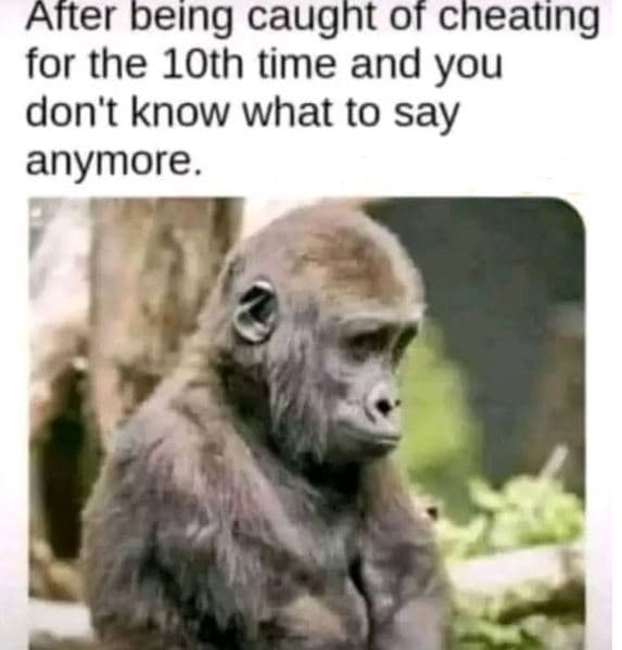 Atter being caught of cheating for the 1oth time and you don't know what to say