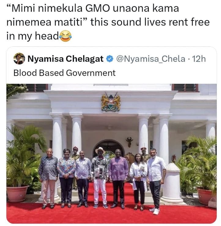 66 mimi nimekula gmo unaona kama nimemea matiti this sound lives rent free in my